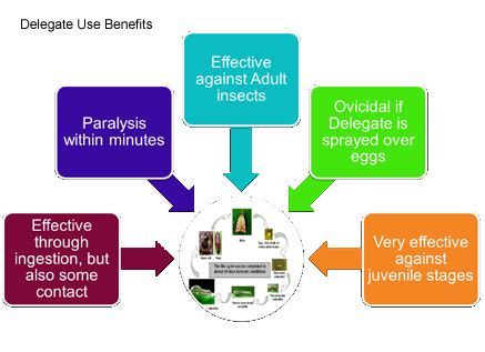 Delegate Use Benefits